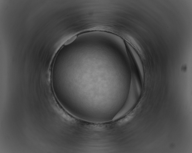 X0000090630900200707171445