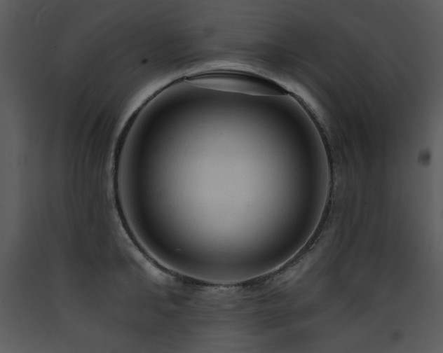 X0000090630902200707171445