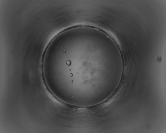 X0000090630903200707171445