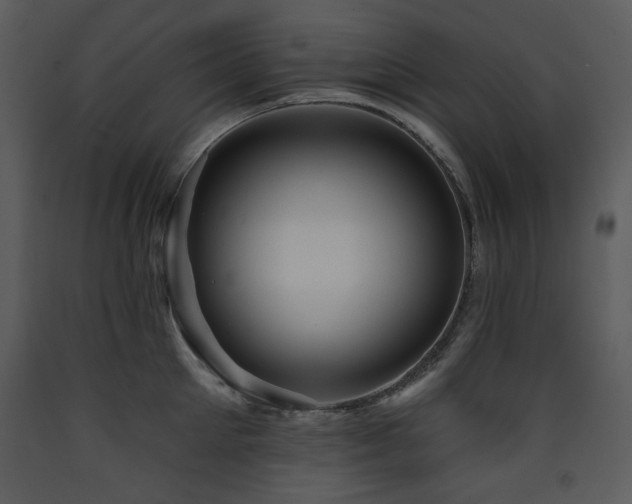X0000090630905200707171444