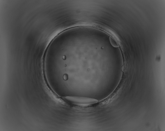X0000090630907200707171444