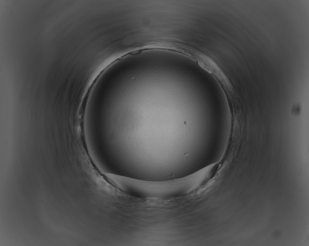 X0000090630908200707171444