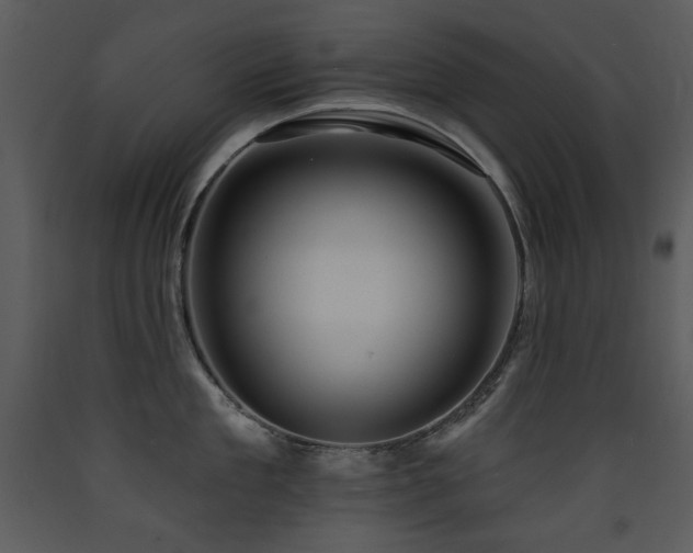 X0000090630909200707171444