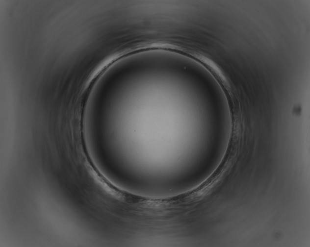 X0000090630910200707171444