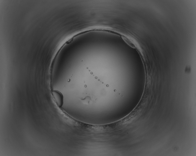 X0000090630911200707171444