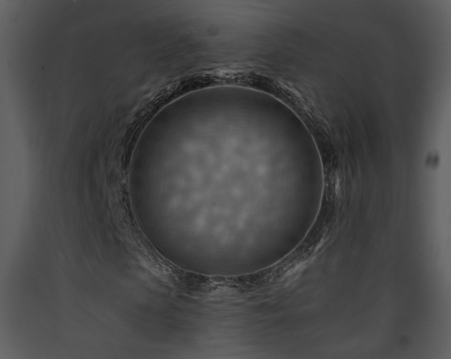 X0000090630913200707171444