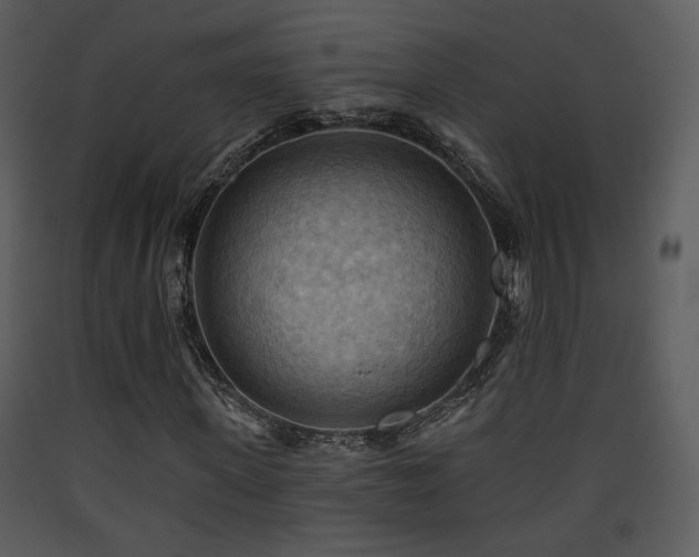 X0000090630915200707171444