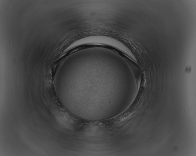 X0000090630916200707171444