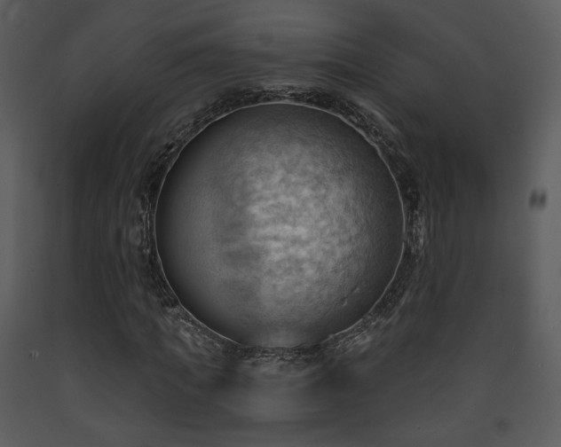 X0000090630917200707171444