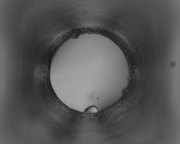 X0000090630918200707171444