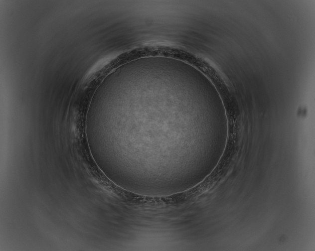 X0000090630919200707171444