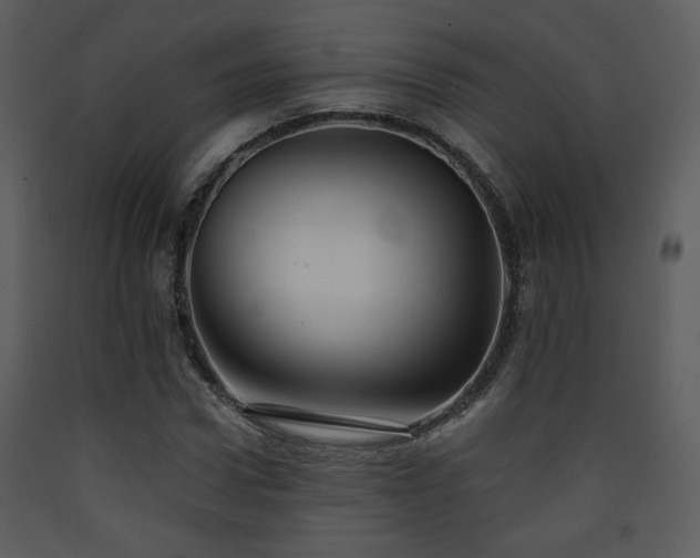 X0000090630922200707171444