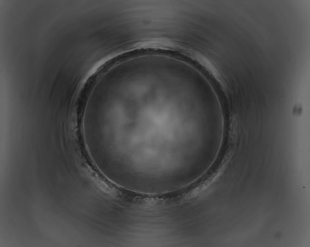 X0000090630923200707171444