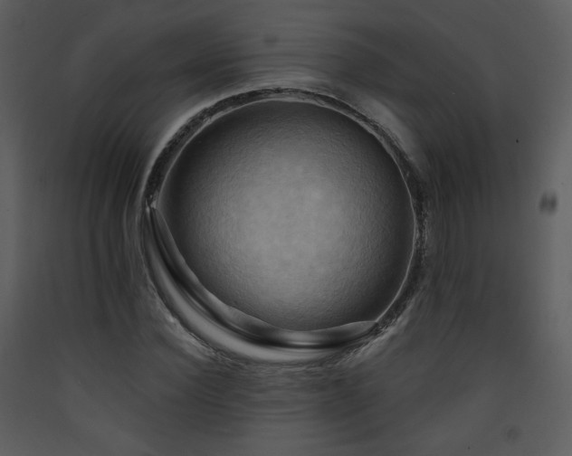 X0000090630924200707171444