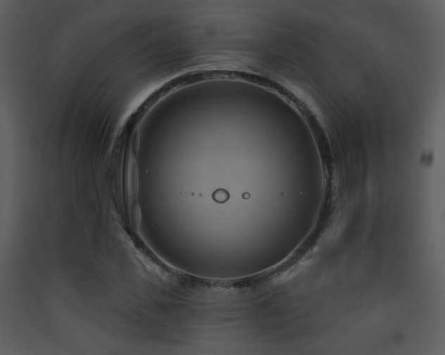 X0000090630925200707171444