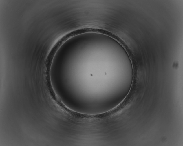 X0000090630926200707171444