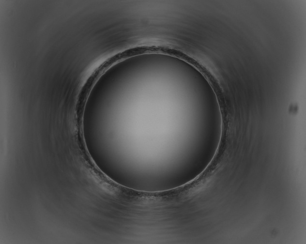 X0000090630927200707171444