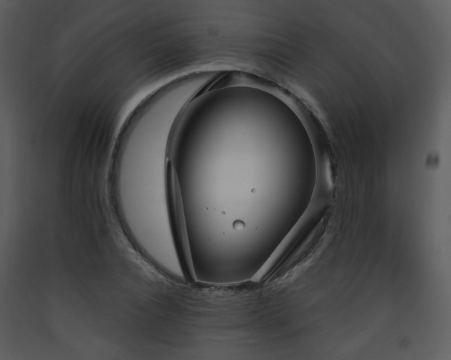 X0000090630928200707171444