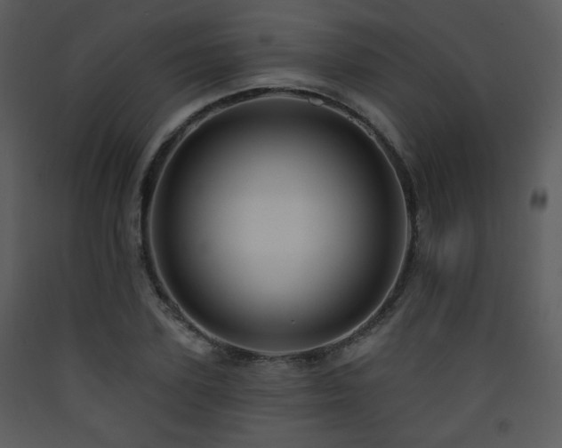 X0000090630931200707171444