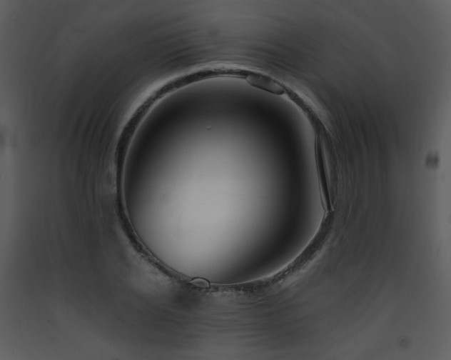 X0000090630934200707171444