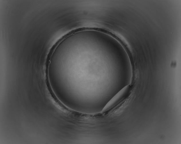 X0000090630935200707171444