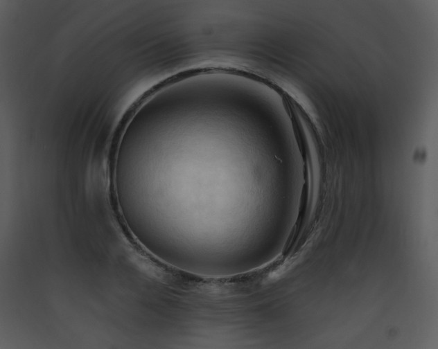 X0000090630936200707171444