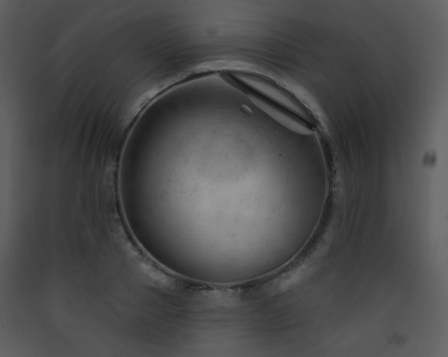 X0000090630937200707171444