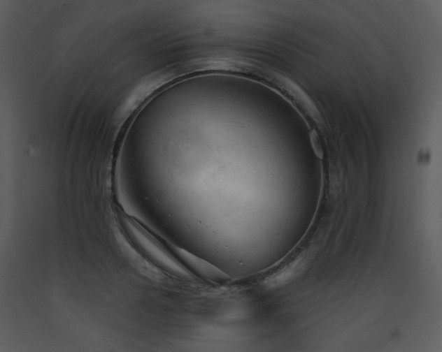 X0000090630938200707171444