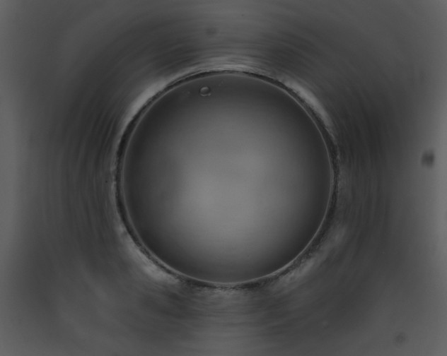 X0000090630941200707171444