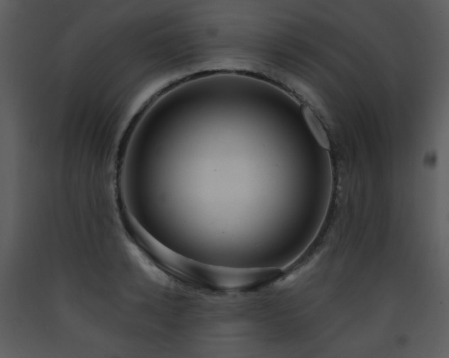 X0000090630942200707171444