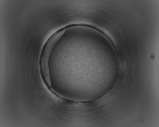 X0000090630943200707171444