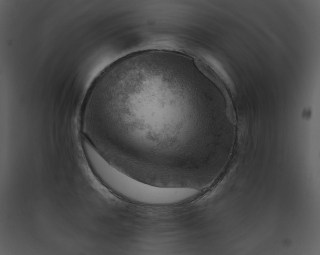 X0000090630944200707171444