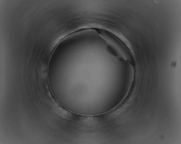 X0000090630945200707171444