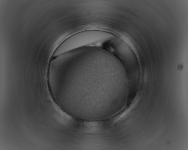X0000090630946200707171444