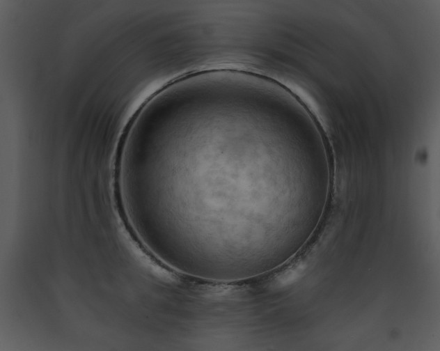 X0000090630949200707171444