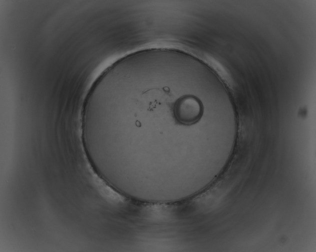 X0000090630950200707171444