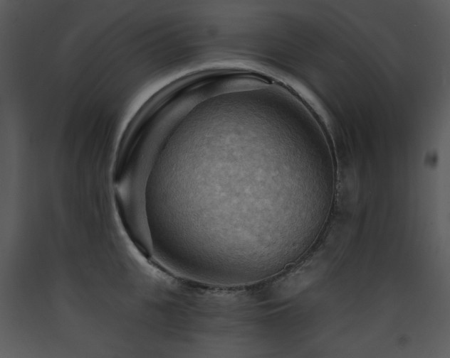 X0000090630951200707171444