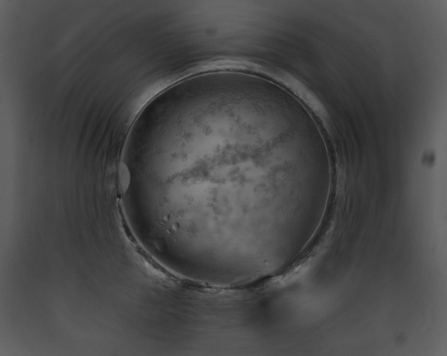 X0000090630953200707171444