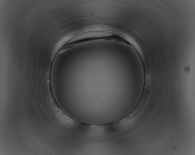 X0000090630954200707171444