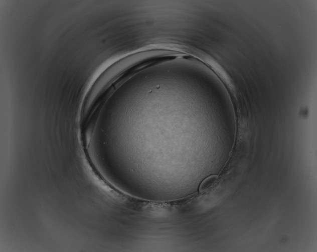X0000090630955200707171444