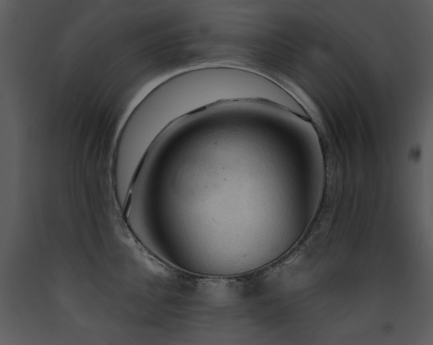 X0000090630956200707171444