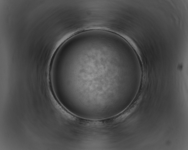 X0000090630957200707171444
