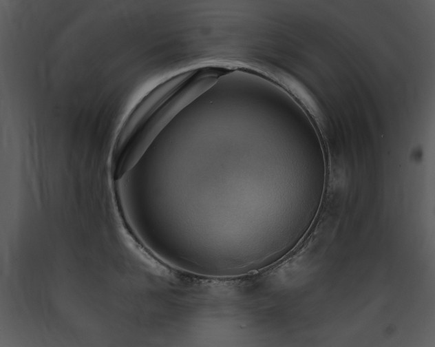 X0000090630958200707171444