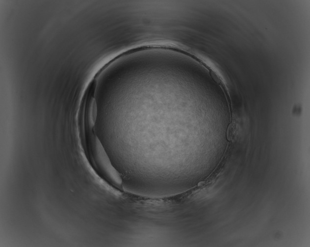 X0000090630959200707171444