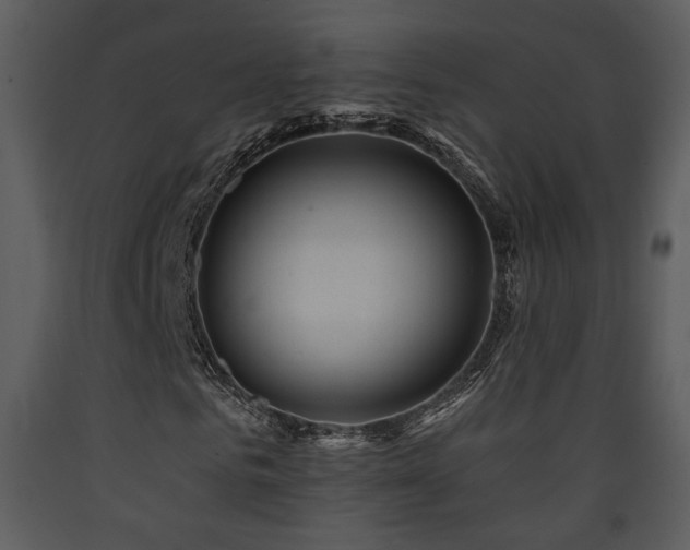 X0000090630961200707171444