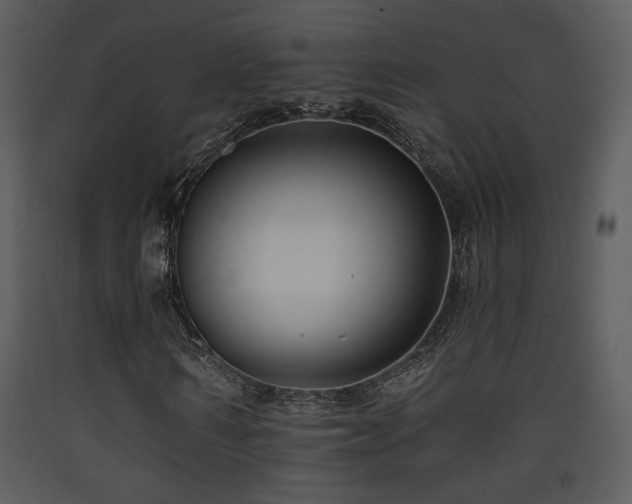 X0000090630962200707171444