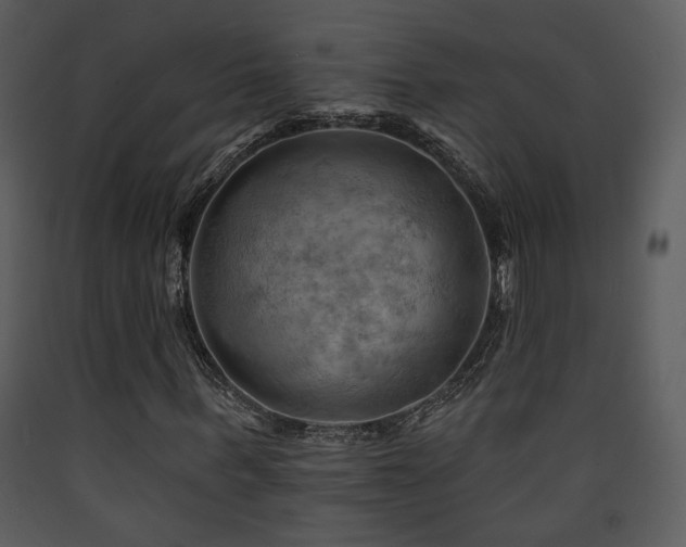 X0000090630963200707171444