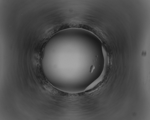 X0000090630964200707171444