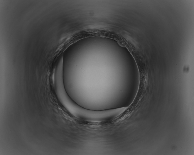 X0000090630965200707171444