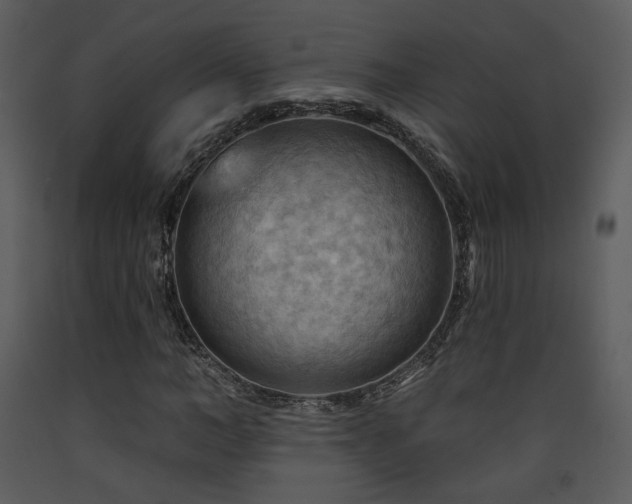 X0000090630966200707171444